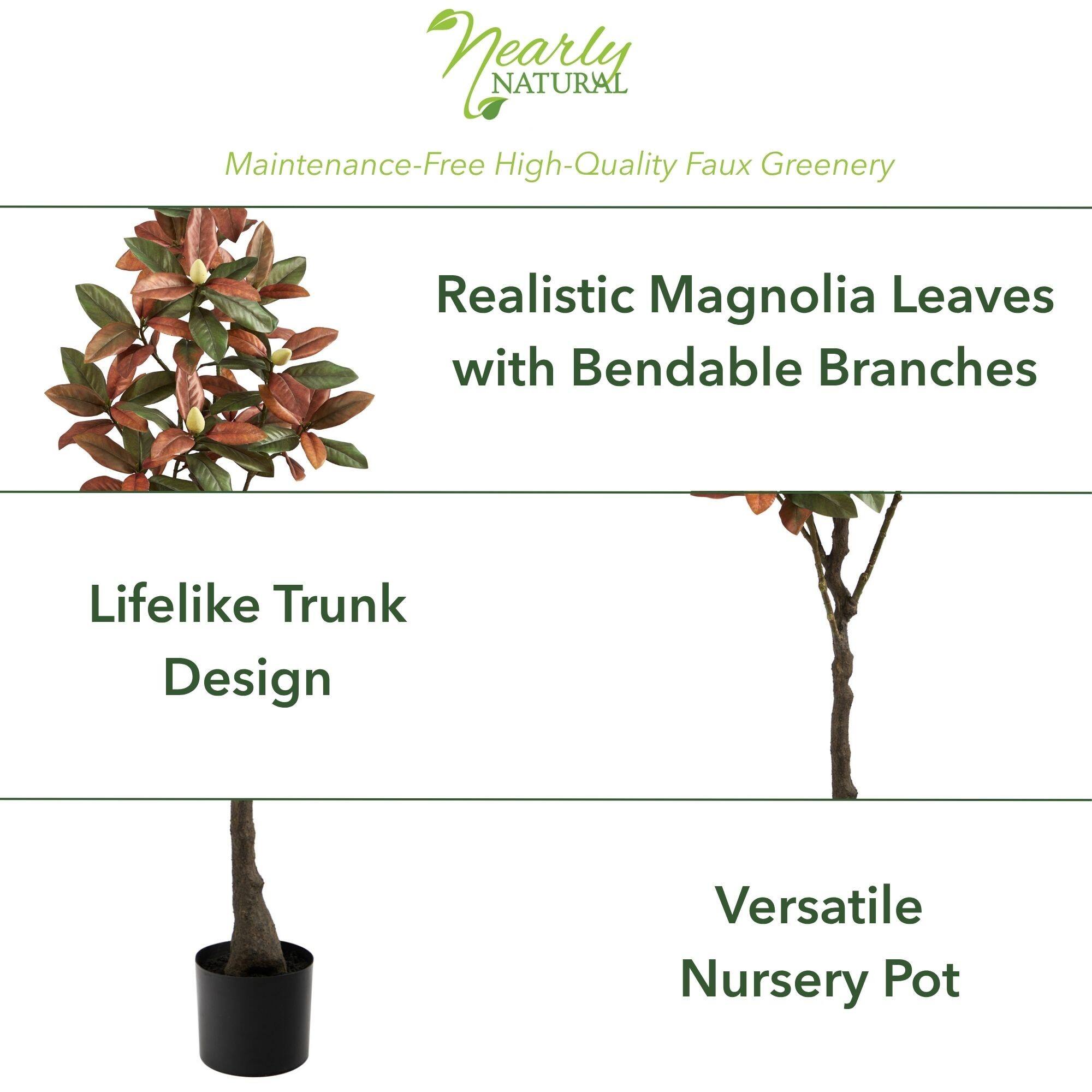 5ft. Potted Fall Magnolia Tree